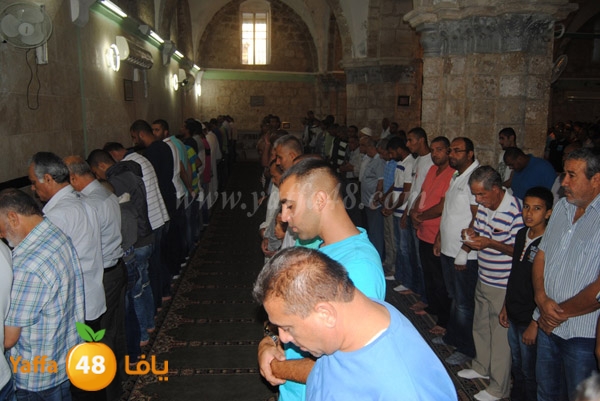 qerm ramla 3ed (27).JPG